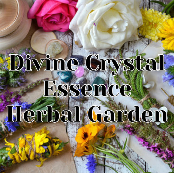 Divine Crystal Essence Collection